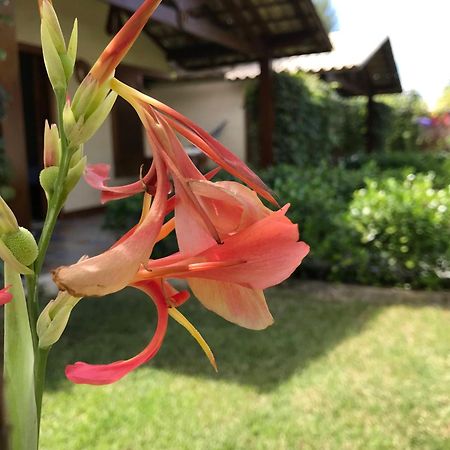 Pousada Rancho Paraiso Pôrto de Pedras Eksteriør bilde