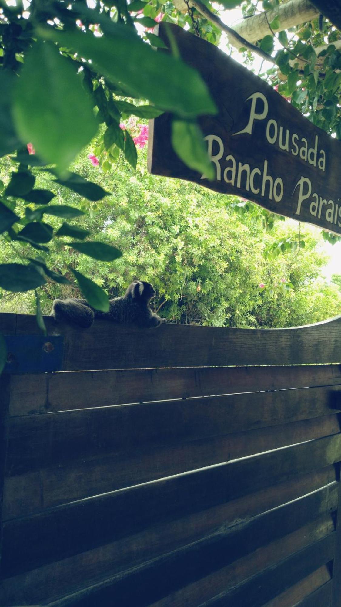 Pousada Rancho Paraiso Pôrto de Pedras Eksteriør bilde